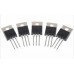 Transistors - Mosfet - IRFZ44N (49A / 55V) - 5 stuks